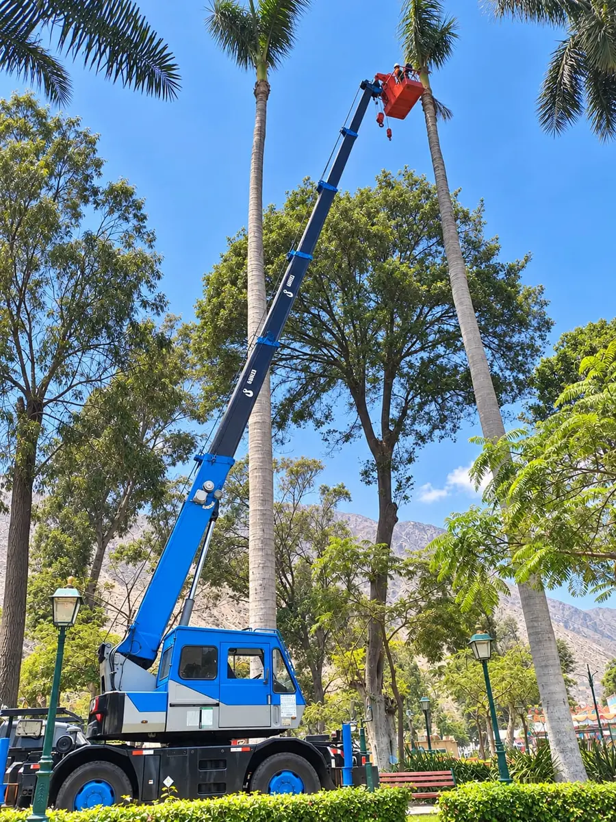 Grúa telescópica con canastilla para trabajo en altura